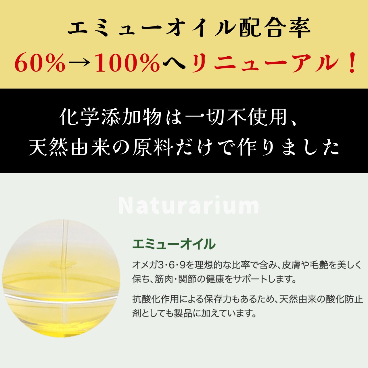 皮膚被毛 ケア