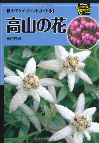 新ヤマケイポケットガイド3 高山の花 (新ヤマケイポケットガイド 3)／永田芳男