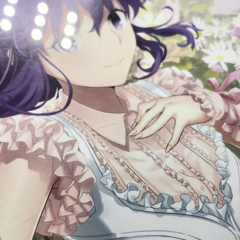 Fate|stay