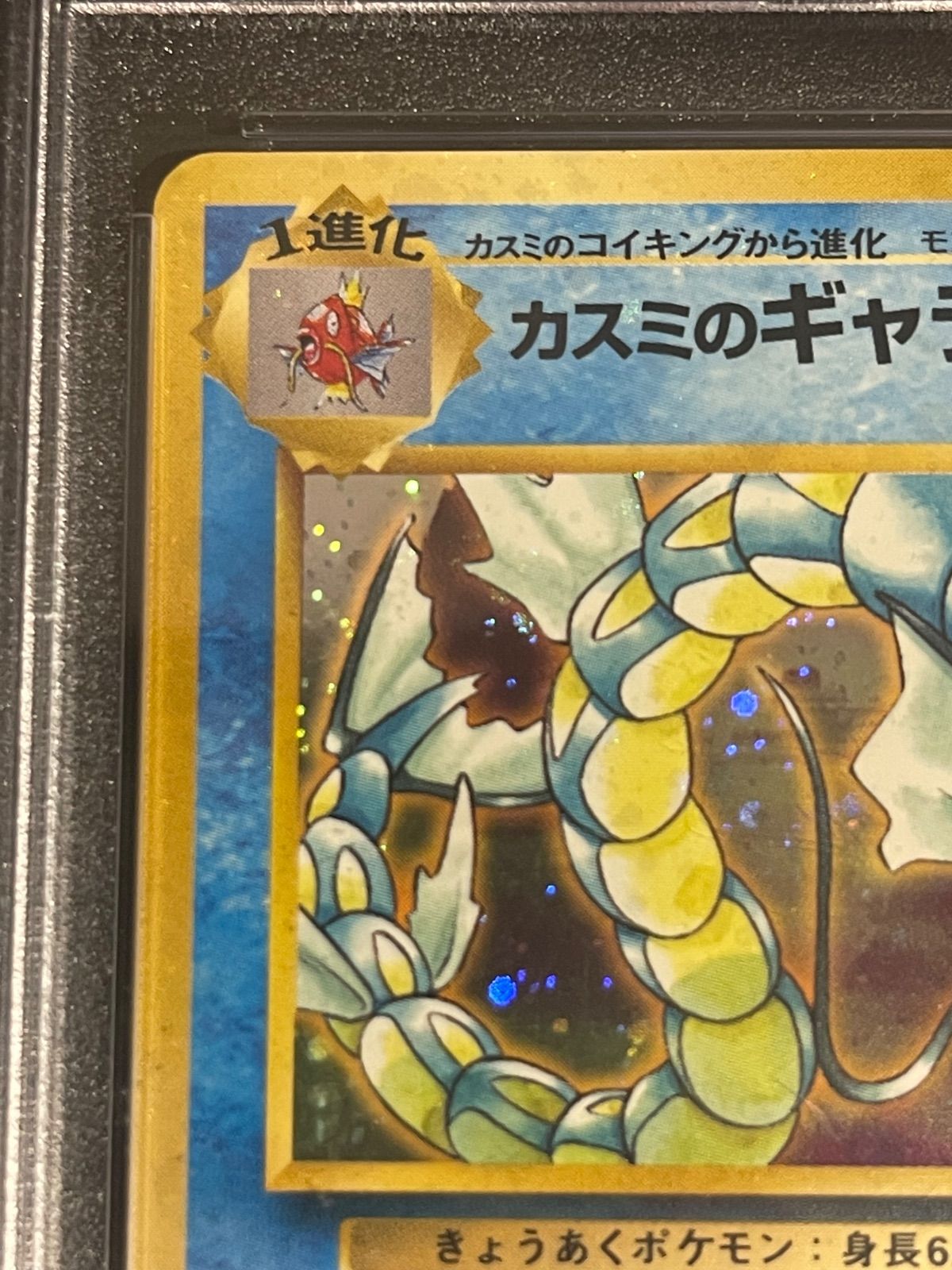 ポケモンカード 旧裏面 カスミのギャラドス | HYFIREWIRELESS.COM