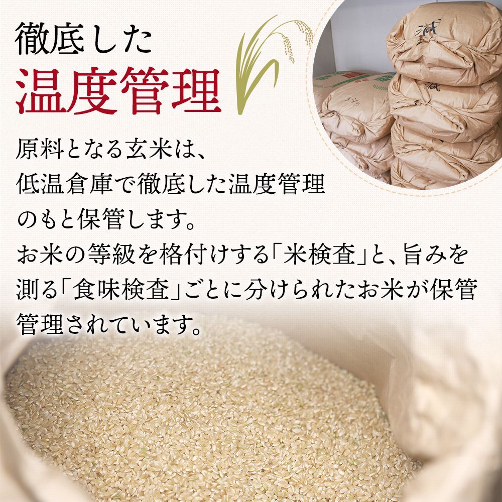 【10kg（5kg×2袋）】山形のおいしいお米「雪若丸」