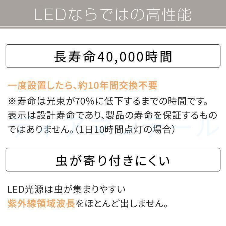 レストラン 天井照明