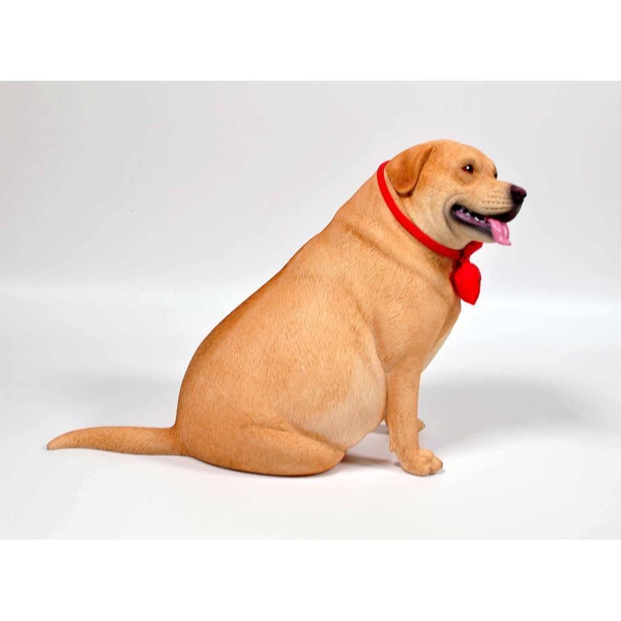 1/6サイズ 太っちょの黄ラブ イエロー ラブラドール レトリーバー犬
