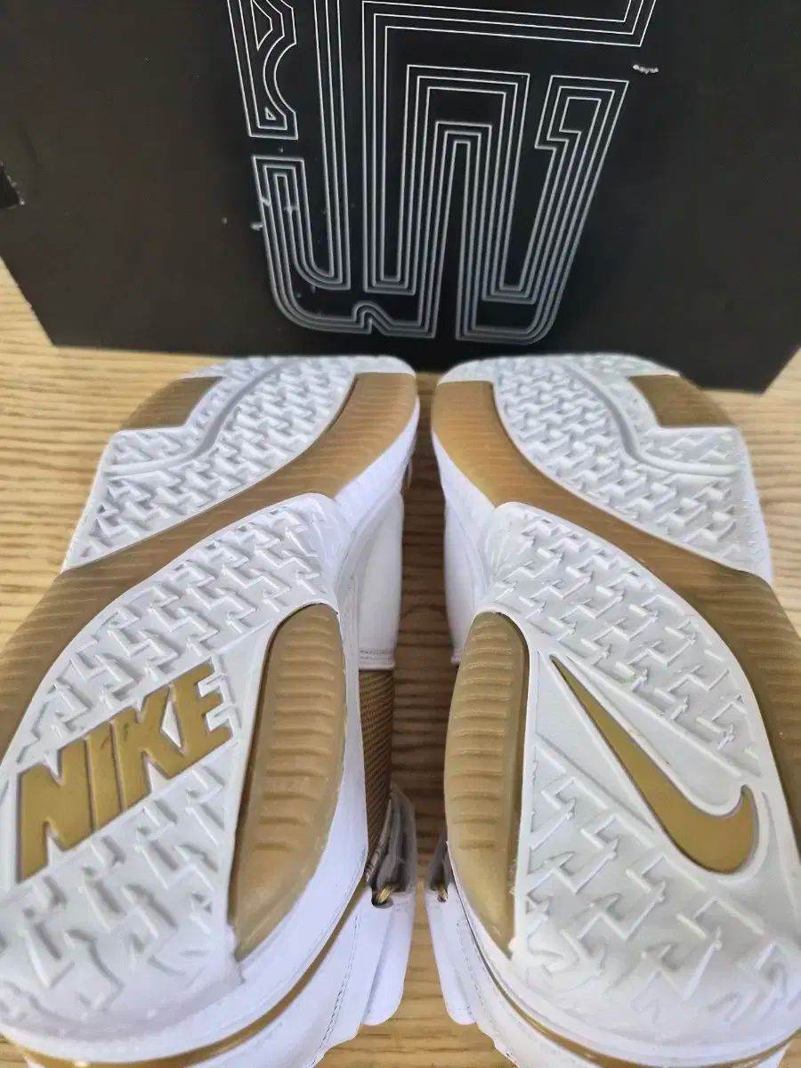 語るに足る NIKE ナイキ レブロン 2 マッカビ 285 サイズ 欲しい商品を賢く購入。；