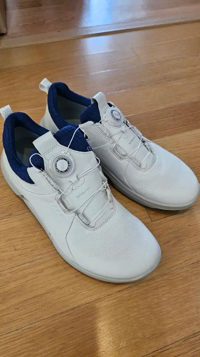 Ecco エコー バイオム GORE-TEX ゴアテックス H4 ゴルフシューズ