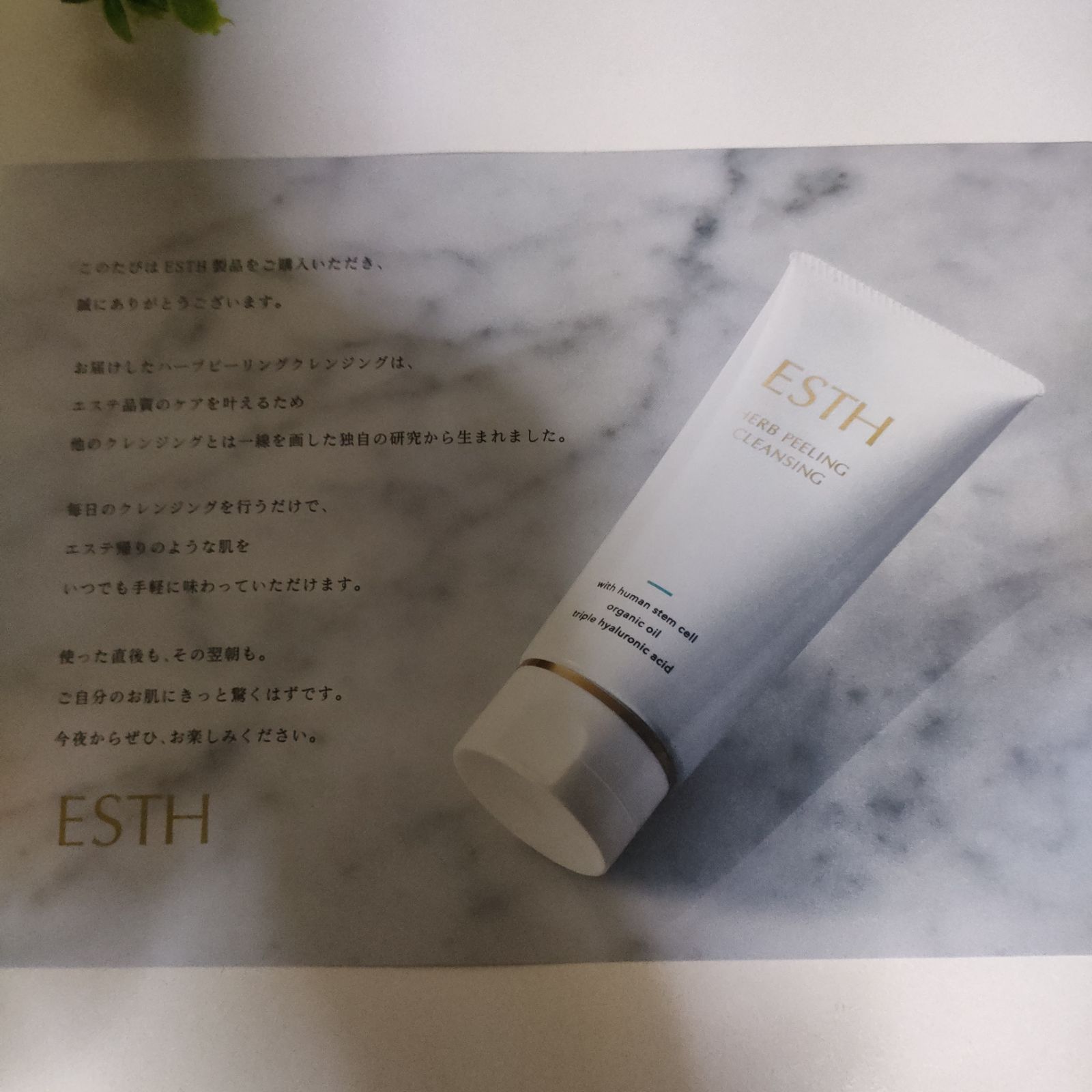 ESTHハーブピーリングクレンジング2本セット M10956134 - クレンジング