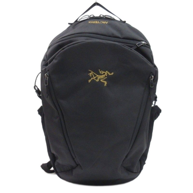 希少！大株！アガベ ブルーフレーム ハイブリッド 2025年最新】ブルー