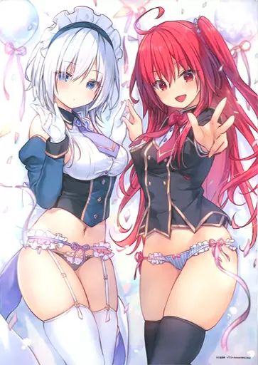 中古】タペストリー 彩園寺更紗＆姫路白雪 B2タペストリー(MFたぺJ081 
