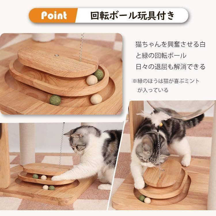 木登り 多頭飼い