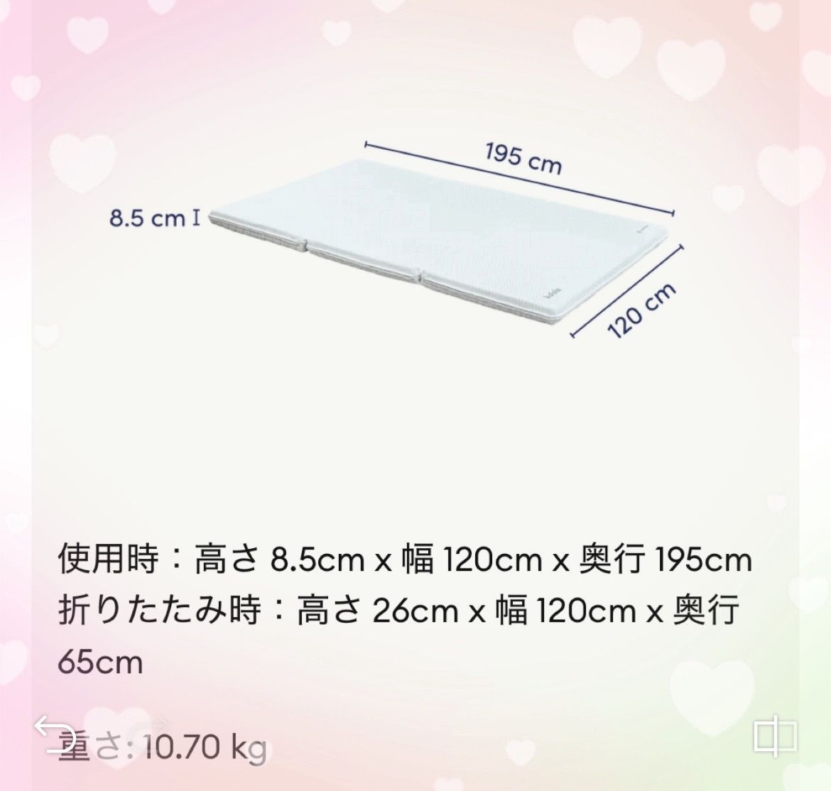 関東圏限定販売～🌟快適快眠🌟コアラフトン OASIS セミダブル