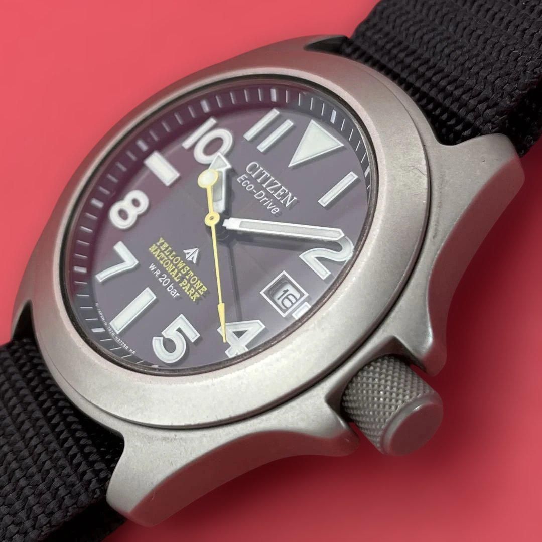 CITIZEN イエローストーン国立公園 7828-H21963 シチズン