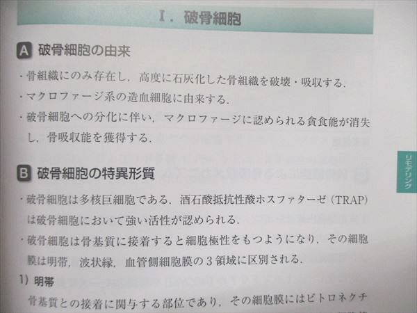 不思議の国のアリス タロットカード ポーチ付き オラクルカード