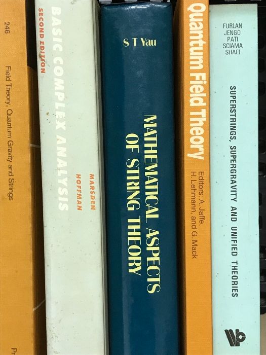 洋書 物理学 関連本 まとめて 21冊 セット 場の量子論 ゲージ理論 数理 