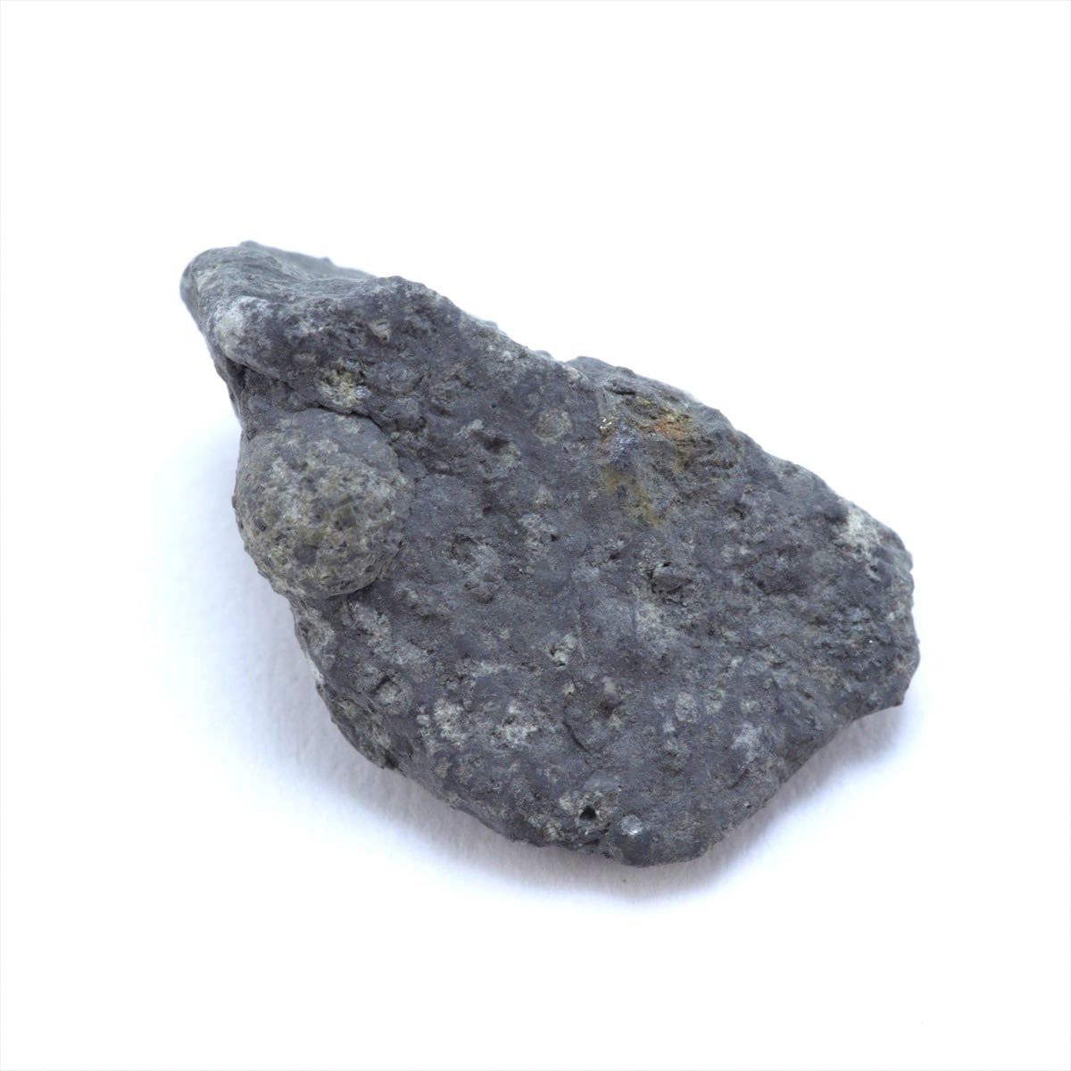 NWA6604 炭素質コンドライト隕石-z NWA6604 炭素質コンドライト隕石-z｜