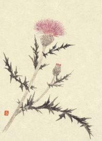 花と実 傑作選Ⅳ
