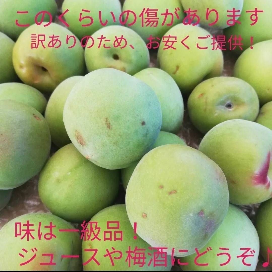 和歌山　完熟　紅　南高梅　クール便　3kg　本物の完熟 紀州南高梅 3kg 完熟梅 訳あり クール便 和歌山産 - メルカリ