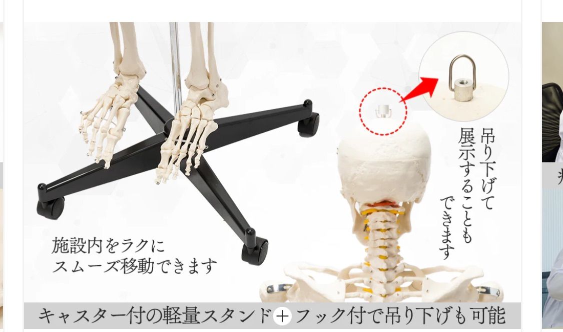 等身大人体模型