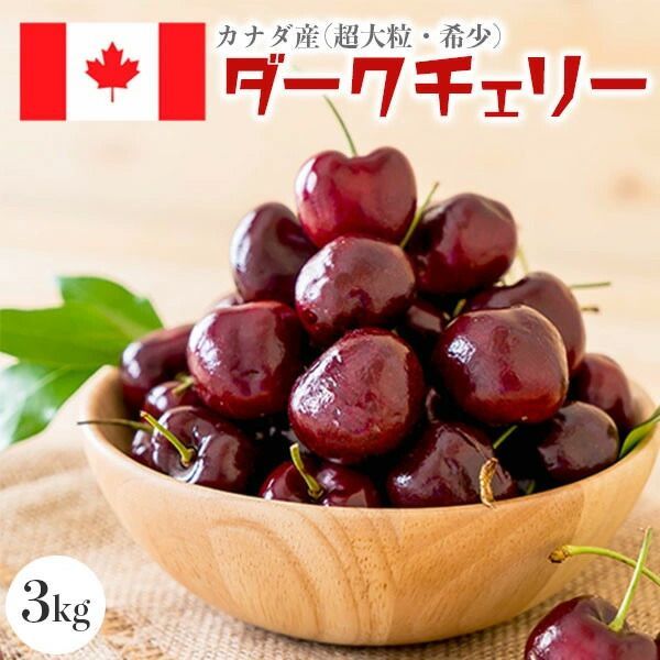 さくらんぼ カナダ産 ダークチェリー 超大粒 3kg カナダ版のアメリカンチェリー カナディアンチェリー 8月上旬～9月上旬の出荷予定 03630K