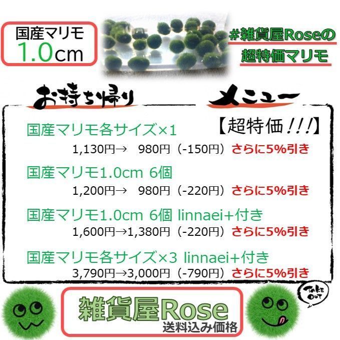 【国産まりも各サイズ×1】超特価!!!　水草　アクアリウム　NOTおみやげ価格