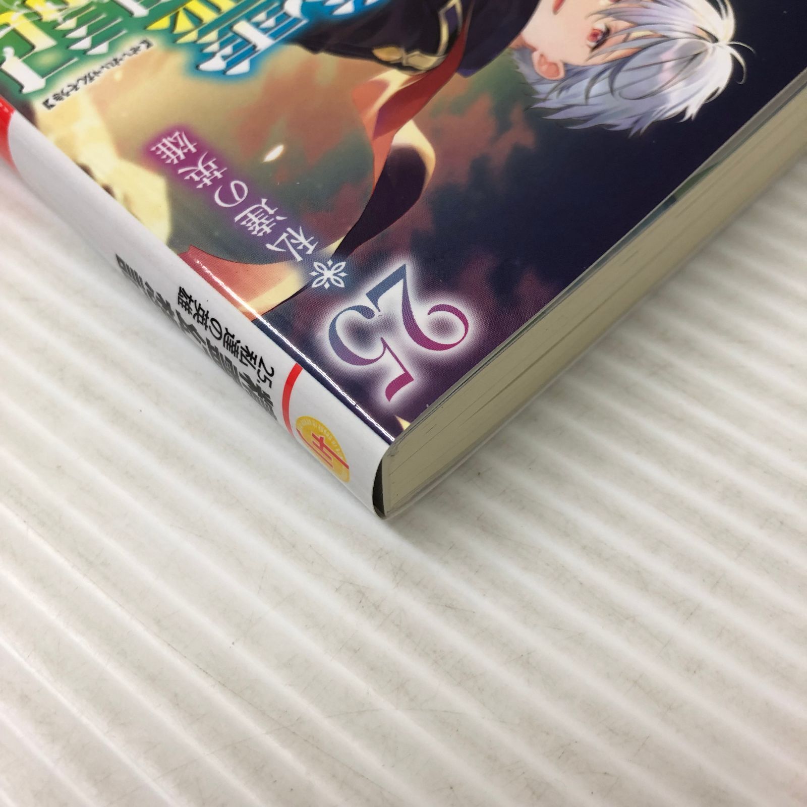 □HJ文庫 精霊幻想記〈25〉私達の英雄 中古品 smrn089865