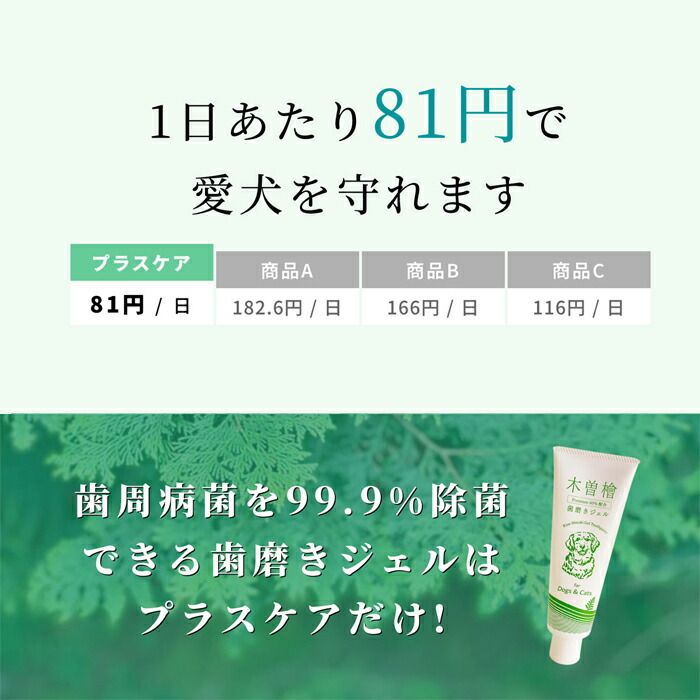 ペット