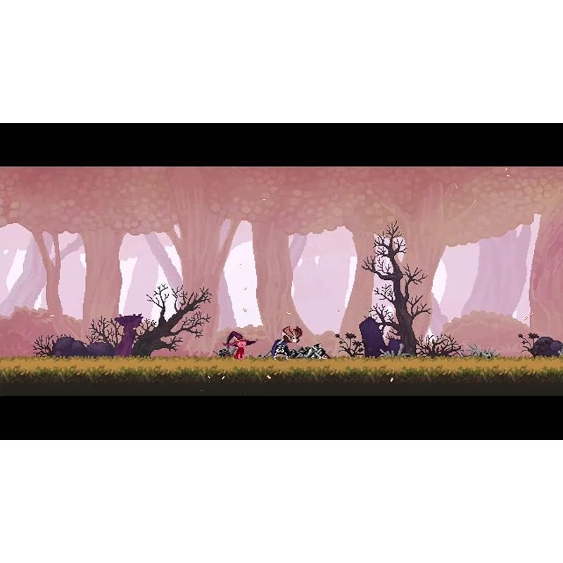 Skul: The Hero Slayer(スカル ザ ヒーロー スレイヤー) - Switch