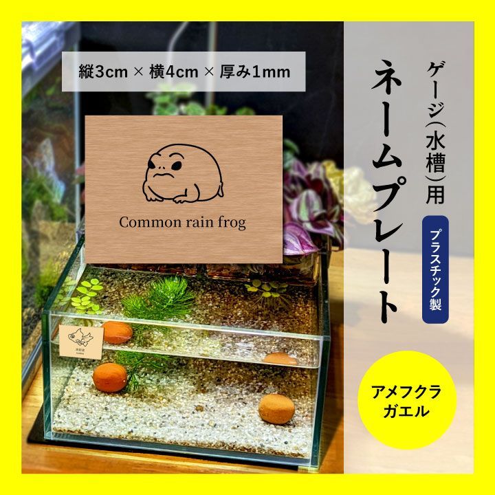 送料込み】 ゲージ・水槽用ネームプレート ☆アメフクラガエル 送料込み】 ゲージ・水槽用ネームプレート ☆アメフクラガエル