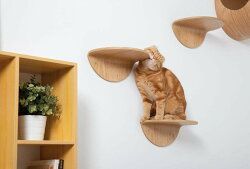 キャットシェルフ 2個セット