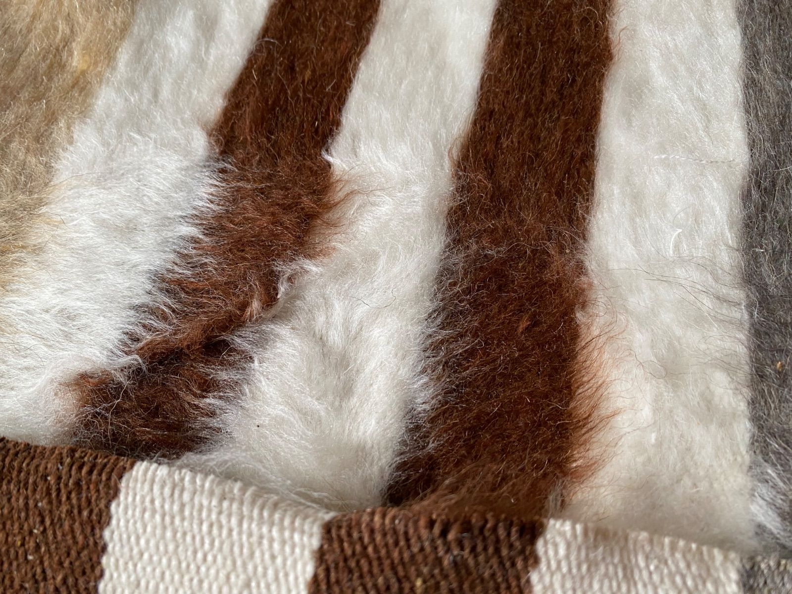 シイルトバッタニイェ 当店のみのお試し膝掛けサイズ