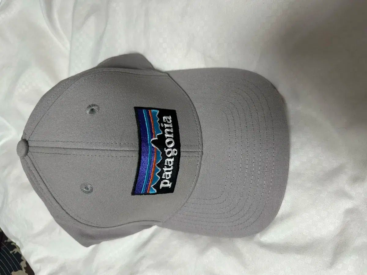 【雷市場（ポンジャン）商品韓国直送】 Patagonia(パタゴニア) キャップ