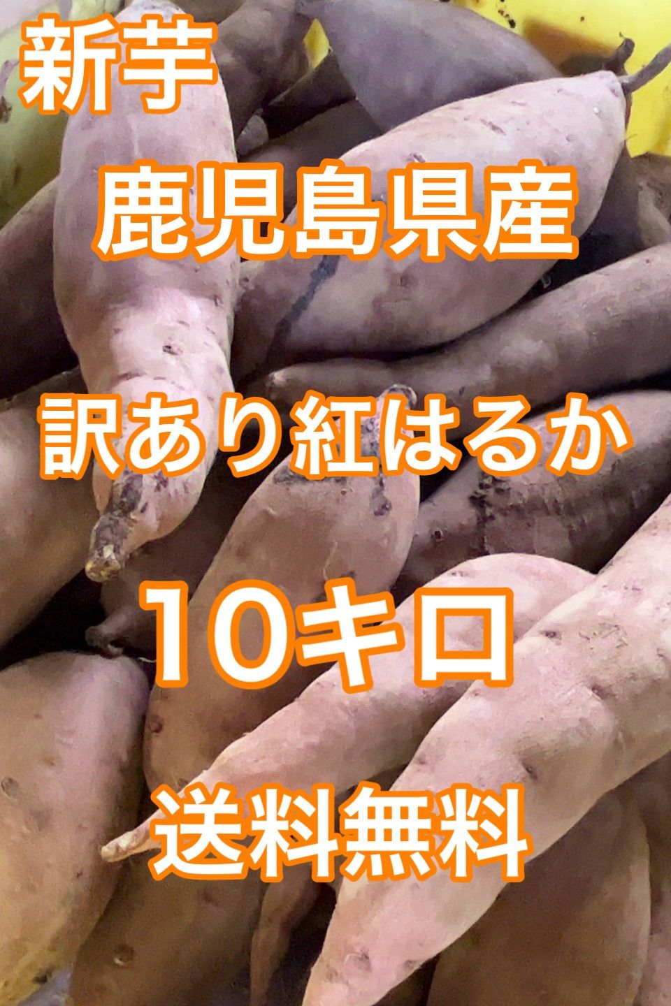 鹿児島県産 新芋 訳あり紅はるか 箱込 約10キロ 【公式通販】