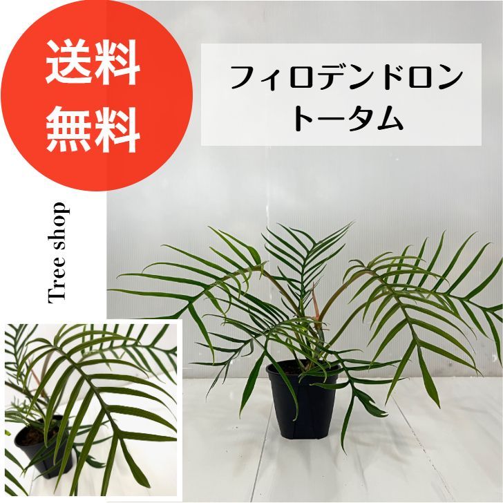 エアーテントVOLLTAIN 3WAYキャンプ用 限定セール開催中8／31まで