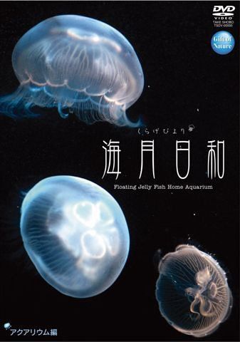 DVD 【】海月日和 アクアリウム編 [DVD]