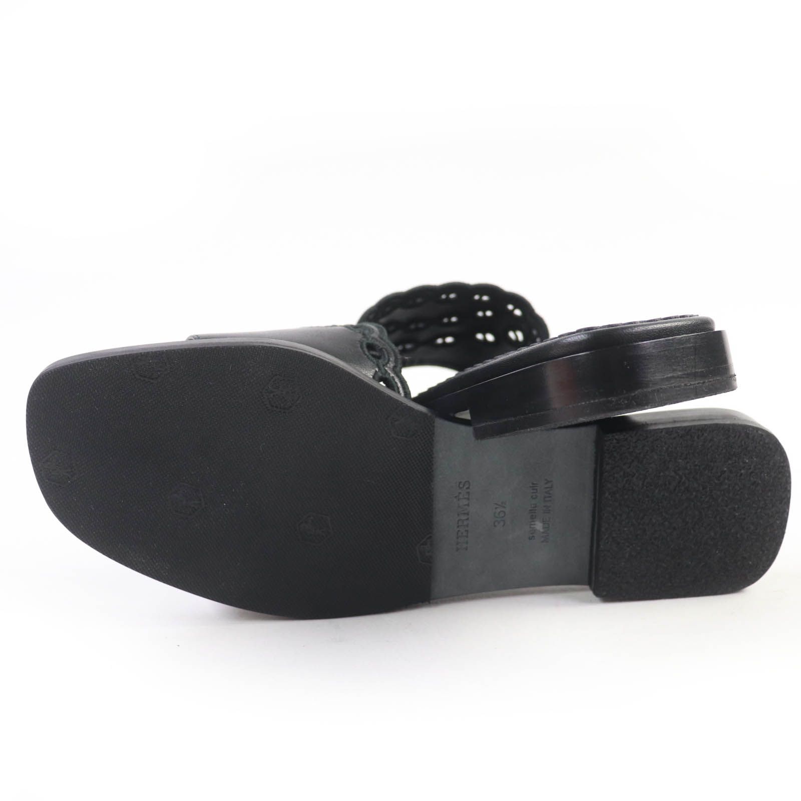 ガエル シェーヌダンクル