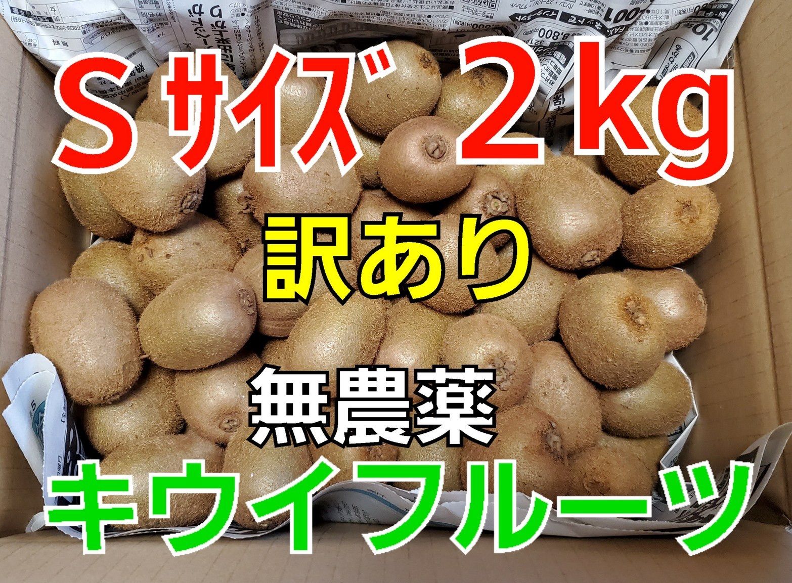 お得なセット】キウイフルーツ2kg + 無添加キウイジュレ2個 - フルーツ