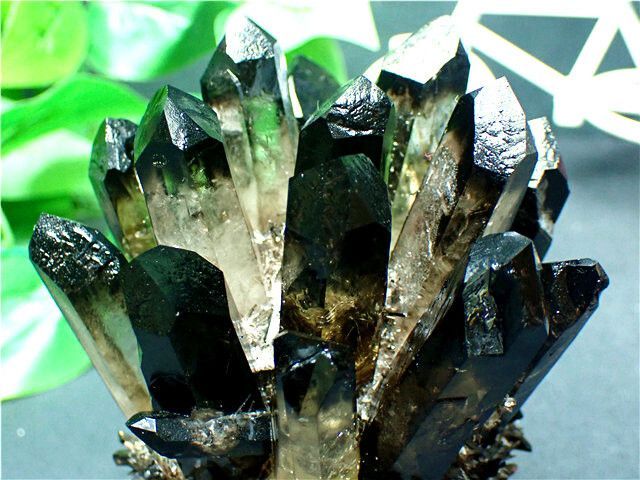 AAA級【魔除け】高透明度天然モリオン黒水晶クラスターB82C6/121C30C AAA級【魔除け】高透明度天然モリオン黒水晶クラスターB82C6/77C08B