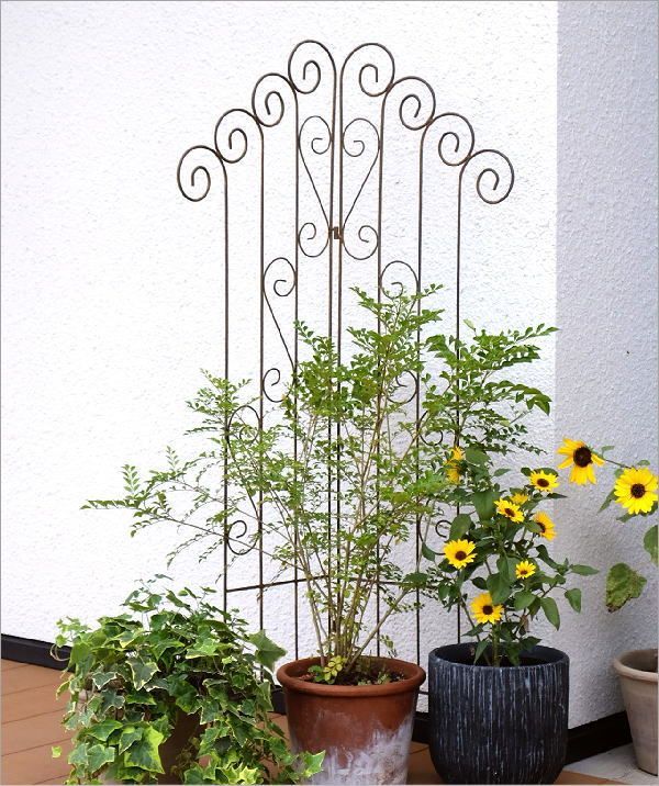 ガーデンフェンス トレリス おしゃれ かわいい 仕切り アイアン 2枚折り シャビーなガーデニングフェンス ダブル WWW_GEBZETESISAT_COM_TR