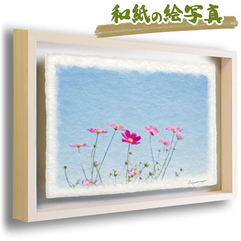 Room No.6 サコッシュ バッグ お買い得品 アリスパック 迷彩 カモフラ