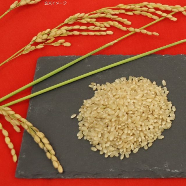 体は食と運動でコントロール 7年産コシヒカリ 玄米10kg 化学農薬不使用
