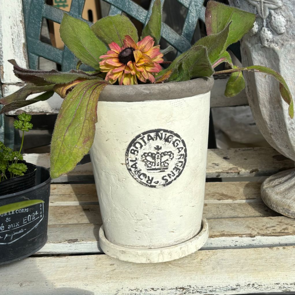 ロイヤルボタニポットロング プランター 鉢 村田屋産業 正規品 新品未  