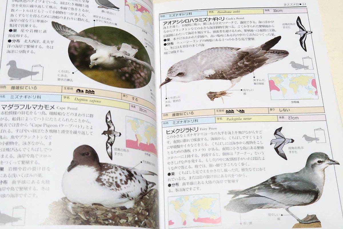 地球自然ハンドブック・完璧版・鳥の写真図鑑・オールカラー世界の鳥