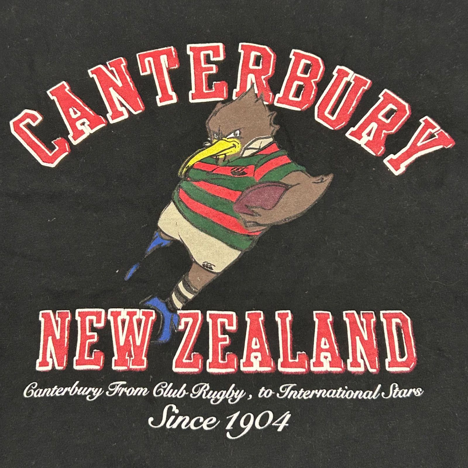 CANTERBURY カンタベリー ニュージーランド kiwi キウイ ラグビー T