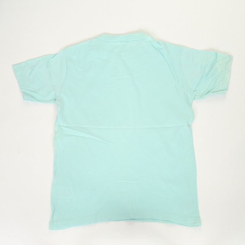 Champion C3-P300 MintGreen T-shirts 半袖 Tシャツ チャンピオン トップス ワンポイント ロゴマーク USED【チャンピオン 半袖Tシャツ  tシャツ クルーネック ミントグリーン 刺繍 CHAMPION ユーズド】