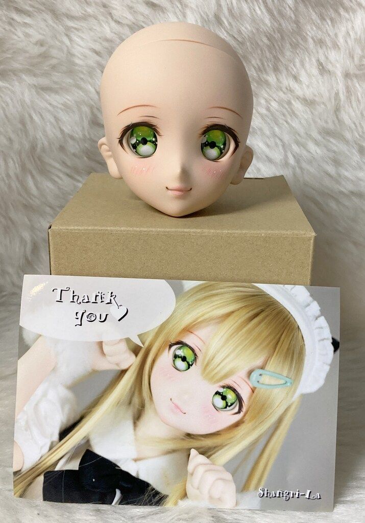 Shangri-La DDH-06 DDカスタムヘッド セミホワイト肌