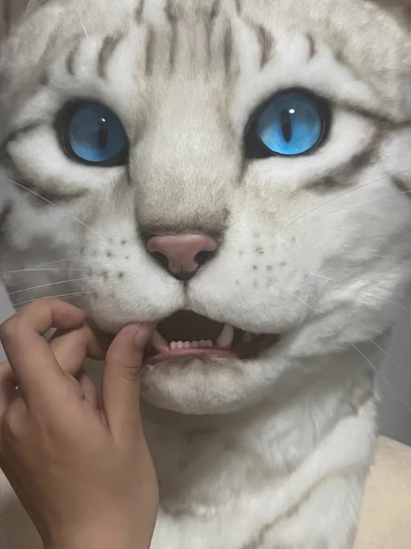 ☆着ぐるみヘッド 猫 NO.177 リアルスタイル 全頭ヘッド ケモノ ファー