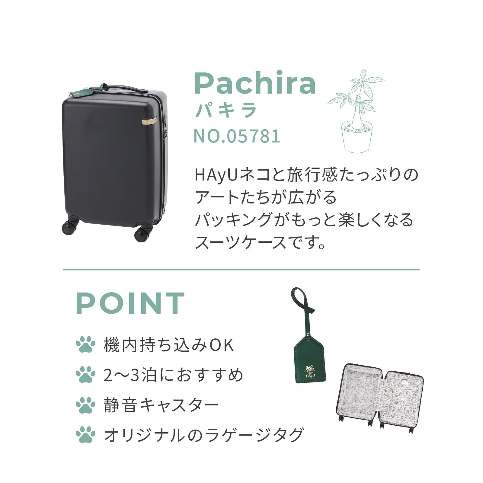 機内持ち込み
