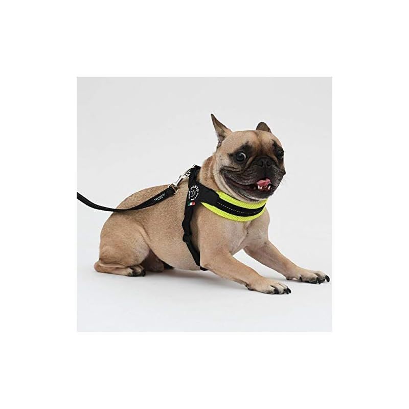 TRE PONTI Fibbia Soft Meshハーネス (ピンク)⭐︎未使用 ペット） TRE