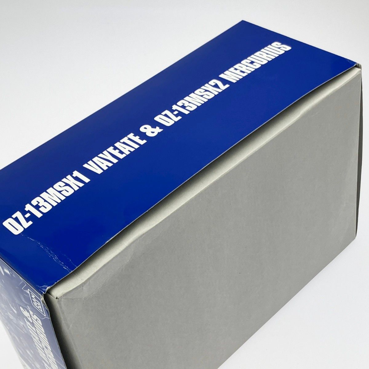 ▽▽バンダイスピリッツ HG 1/144 小売業者 ヴァイエイト