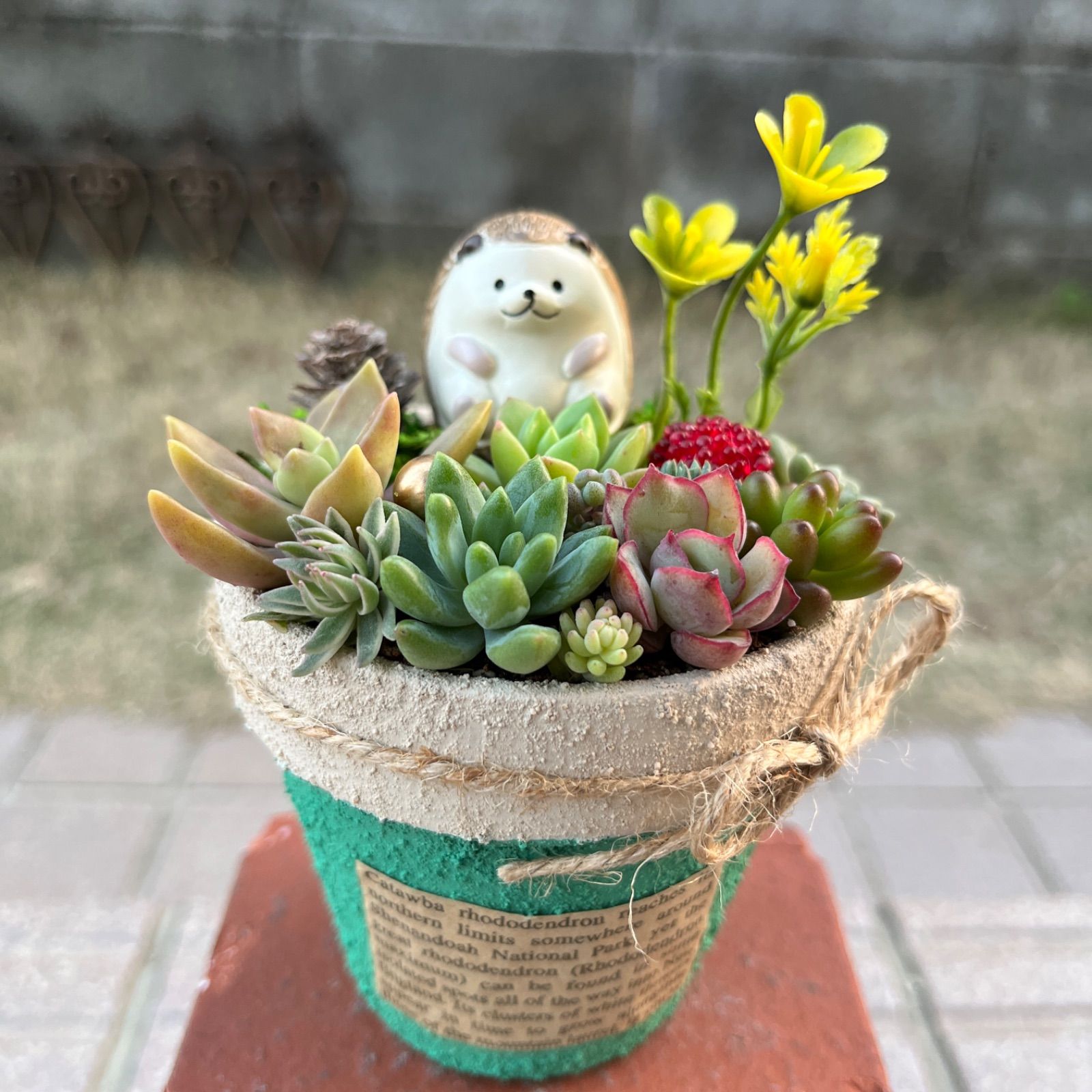 ☆このまま飾れる☆多肉植物 寄せ植え 手作り木製ハリネズミちゃん 
