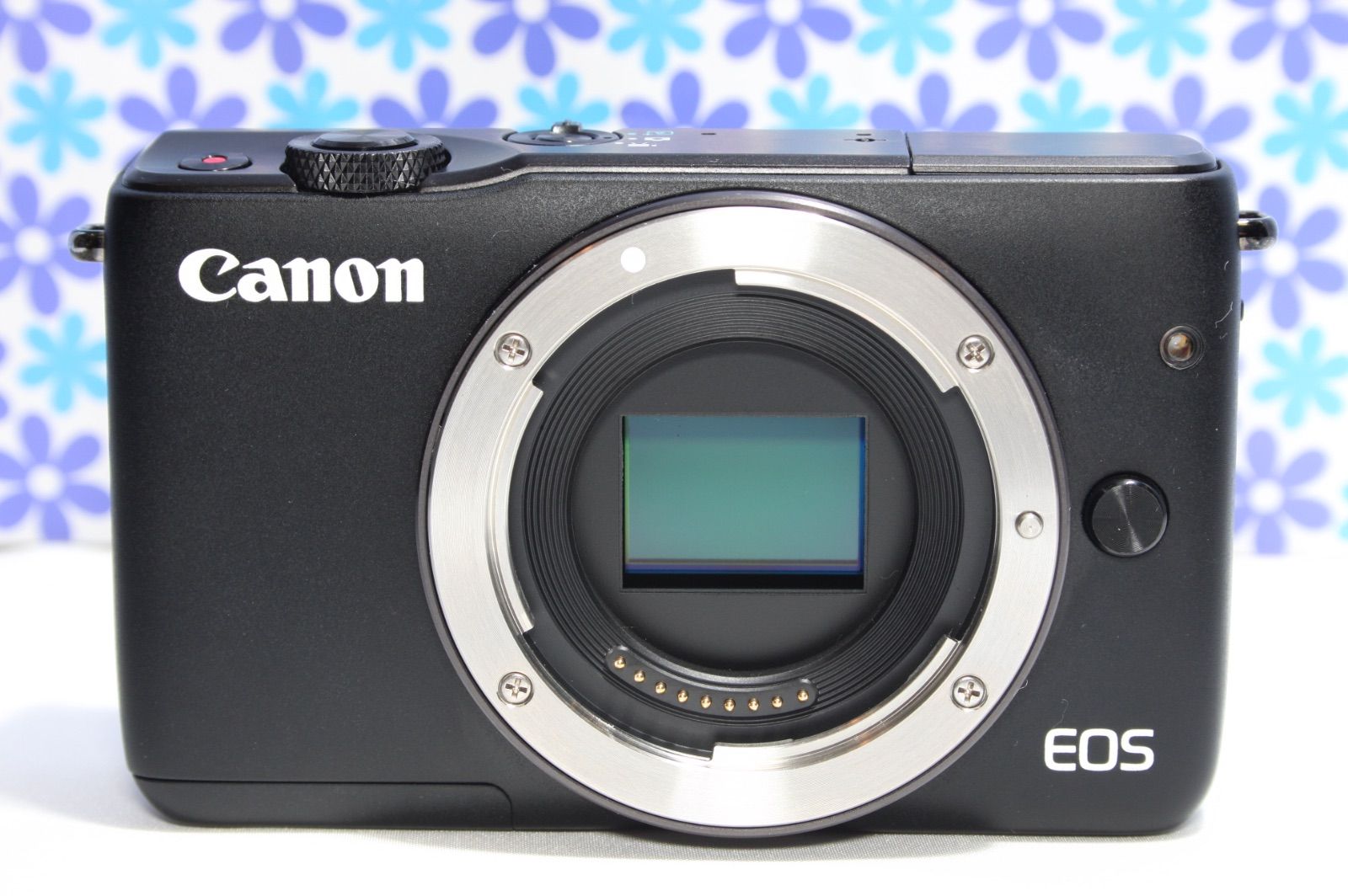 ❤️希少グレーカラー❤️Wi-Fi &自撮り❤️Canon EOS M10